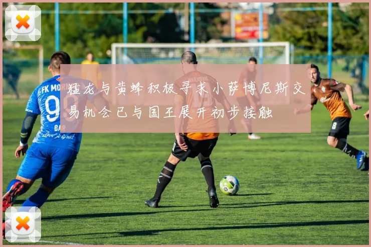 猛龙与黄蜂积极寻求小萨博尼斯交易机会已与国王展开初步接触